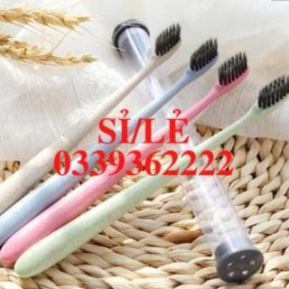 [ HAIANHSHOP ] Bàn chải đánh răng lúa mạch - Bàn Chải Người Lớn Sợi Nano Trắng Răng - giao màu ngẫu nhiên Duashop >