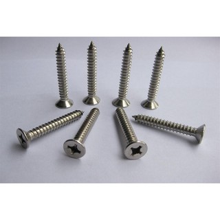 Vít chìm inox bắt gỗ, bắt tắc kê treo tường... gói 100 gam