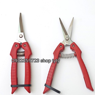 KÉO CẮT TRÁI CÂY SẼ GIÚP TA TIỆN LỢI HƠN