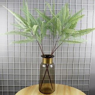 Nhánh cây dương xỉ lớn cao 80cm