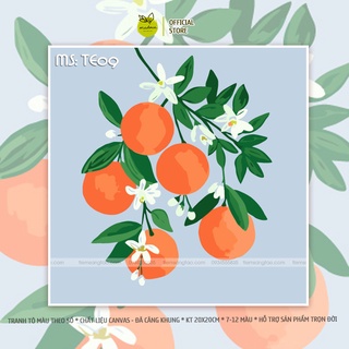 Tranh tô màu theo số Trái cam vào hè TE09 kích thước 20x20cm