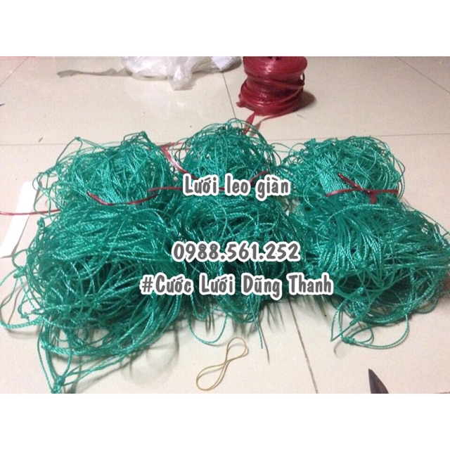 Lưới làm giàn leo 3x2m