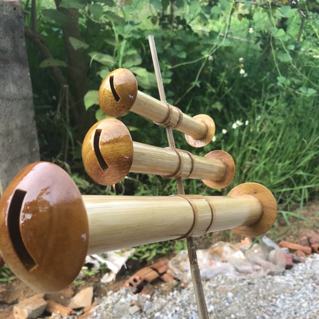 Sáo diều d30