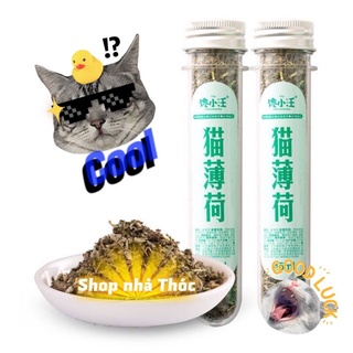 cỏ mèo dạng hũ catnip cho mèo chuyên cỏ, dạng hũ big size bao mê đến tận lá cuối cùng, không ê vắt lưỡi k lấy tiền