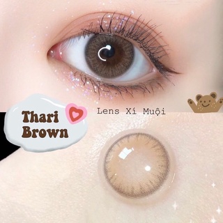 Lens mắt nâu giản nhẹ Thari
