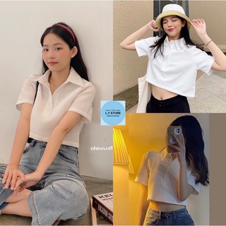 Áo Croptop Tổ Ong Cổ Bẻ L.Y Store Nữ [FREESHIP] Thun kiểu polo dáng ôm body ngắn tay màu trắng hàn quốc cá tính Ulzzang