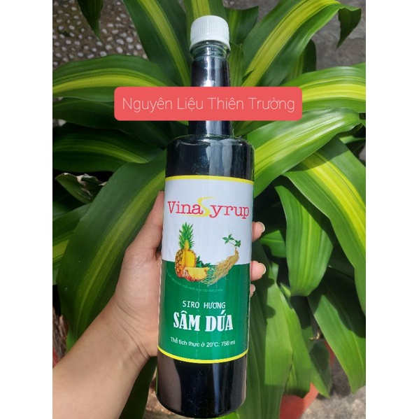 SÂM DỨA VINA SYSUP