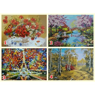 Tranh sơn dầu số hóa tự vẽ DIY 40x50cm nhiều mẫu