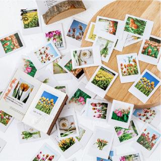 Hộp 46 miếng dán sticker hình mùa hoa tulip trang trí sổ tay Box Sticker ST335