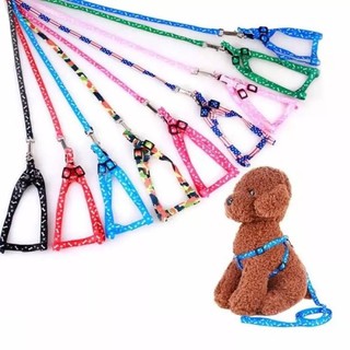 Dây dắt chó mèo + dây yếm đai yên ngựa nhỏ xinh cho chó mèo (2 size) loại 1 lớp