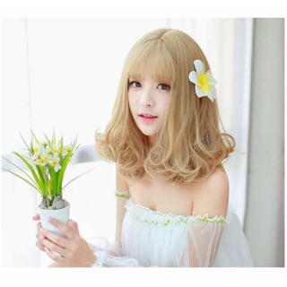 Tóc giả nguyên đầu xoăn đuôi ngắn 35cm FREESHIP❤️ tóc mã 1804
