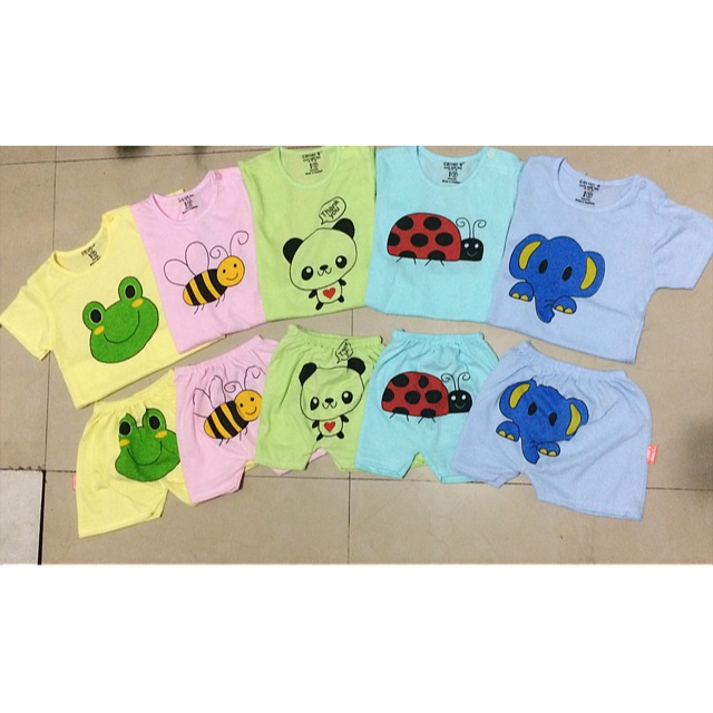 Set cộc 25b