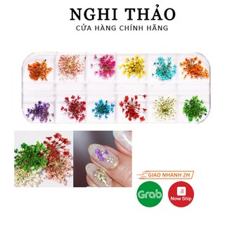 Hoa khô nail trang trí móng cánh nhỏ 12 màu