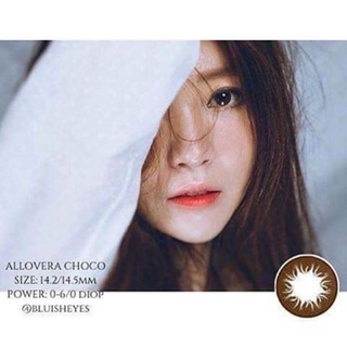 Lens Vassen chính hãng Hàn Quốc VASSEN _ ALLOVERA CHOCO
