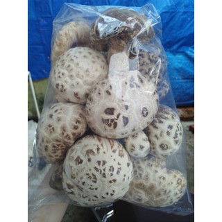 300gr NẤM ĐÔNG CÔ HOA NHẬT - loại 1 to, thơm, dày thịt