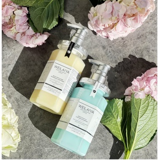 [Combo Siêu Hot] Combo Dầu Gội &amp; Xả Phục Hồi Đa Tầng Nấm Truffle (Chai 450ml)- Giúp Da Đầu Khỏe Mạnh &amp; Tóc Siêu Óng Mượt