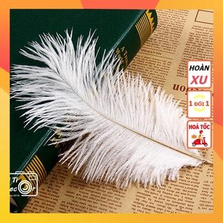 Lông vũ lớn decor, trang trí nhà cửa, cửa hàng, chụp ảnh sản phẩm - TiTi Decor