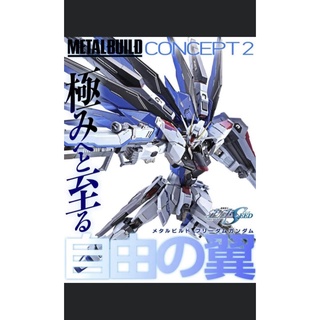 Mô Hình METAL BUILD Gundam Freedom Concept 2