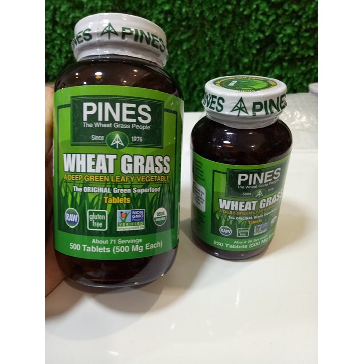 (Pines) - Viên Cỏ Lúa Mì Wheatgrass 500 Viên
