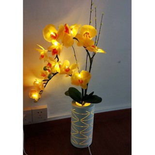 Bình lọ hoa đèn LED nhiều màu trang trí