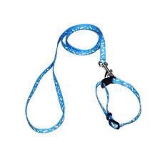 Dây Dắt Mèo Cổ Tròn Đủ Màu Sắc