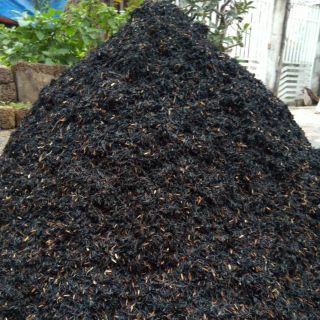 Trấu Hun - Trấu tươi bao to 5kg