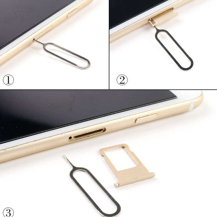 Que chọc sim, cây chọc sim