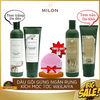 Bộ dầu gội gừng Weilaiya, giảm rụng kích mọc tóc chính hãng