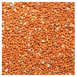 [HẠT SẠCH, ĐẸP] 1KG KÊ ĐỎ NHỎ (THỨC ĂN CHIM, yến phụng, GÀ,BỒ CÂU...