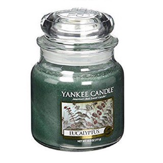 Hũ nến thơm Eucalyptus Yankee Candle YAN2381 (Size M 411g)