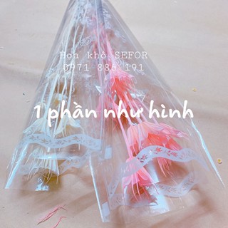 Hoa khô trang trí ❤️FREESHIP❤️ Hoa khô Nigella trang trí cắm hoa, làm đồ handmade