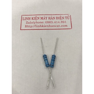 30 Trở 2W 1 Ôm