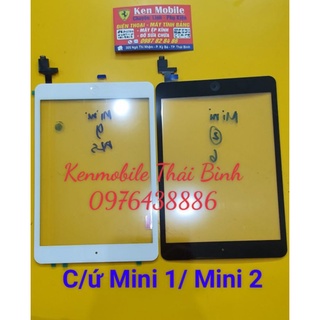 Cảm Ứng Mini 1 / Mini 2 Loại Zin, Mạch Đồng