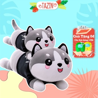 Gấu bông mèo mắt tròn cute, gối ôm mèo nhồi bông mắt tròn cute cao cấp Tazin