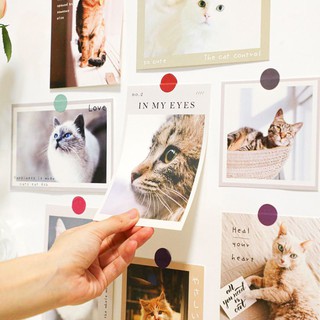 Tranh treo tường đông vật đáng yêu (Bộ 15 tấm)
