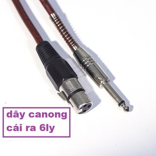 Dây Canon Cái Ra 6 Li Dài 1m - hàng tốt