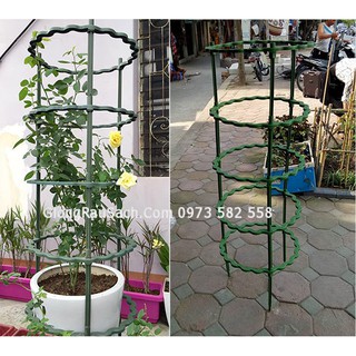 Giàn hoa hồng vòng tròn 45cm cao 1.3m