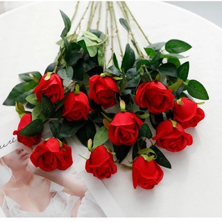 1 cành hồng trứng,cành hồng trứng cao 50cm