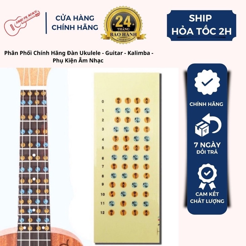 DÁN NỐT UKULELE - STICKER