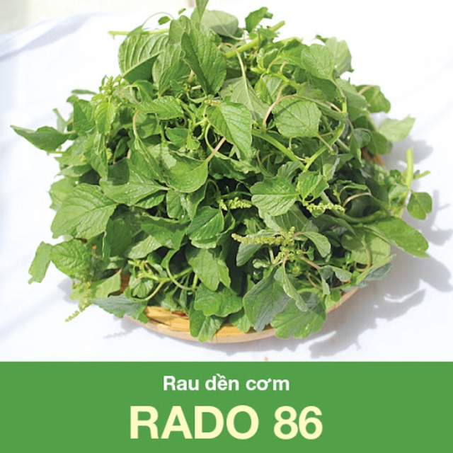 Hạt giống Rau Dền Cơm 86 (10gr)