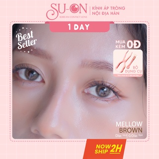 [Video thật] Lens 1 ngày Ann365 MELLOW BROWN áp tròng 14,2mm, nâu tây tự nhiên, siêu êm đeo 24h