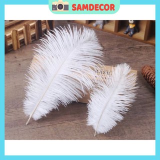 Lông đà điểu  làm phụ kiện chụp ảnh sản phẩm