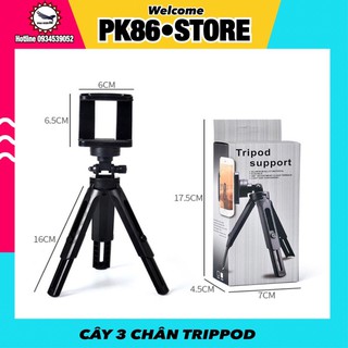 Gậy chụp ảnh, giá đỡ điện thoại, cây livestream, Tripod Support 3 chân ngắn để bàn TPS3009