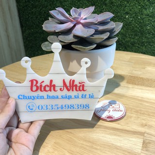 Bảng hiệu mica trang trí shop của bạn - Thiết kế và in tên shop theo yêu cầu