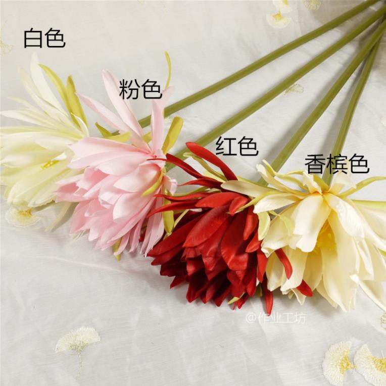 🌺[Order] Hoa lụa chụp ảnh