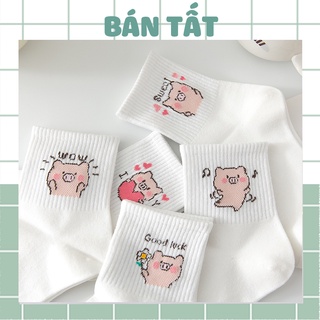 Tất vớ nữ cổ cao - Tất nữ cotton cổ cao trắng chú heo phong cách Hàn Quốc