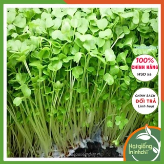 Hạt giống rau mầm cải xanh (cải canh), nhanh thu hoạch, dễ trồng, giầu dinh dưỡng, Gói 25 gram