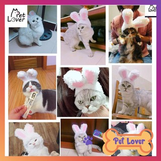 [FREESHIP] Mũ tai thỏ cho mèo, tai thỏ cho mèo màu hồng, siêu cute