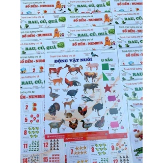 Bộ tranh treo tường 12 chủ đề cho bé