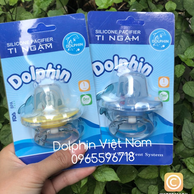 Ty ngậm Dolphin